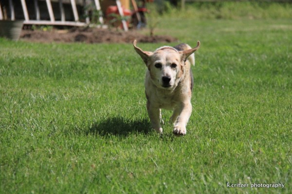 Betsy says wait for me I want to help