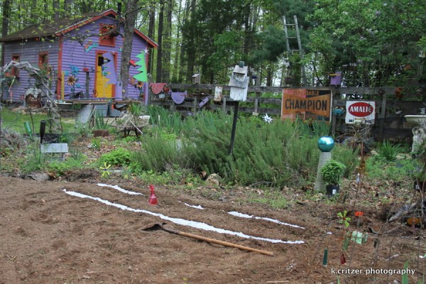sunflowers and zinna's