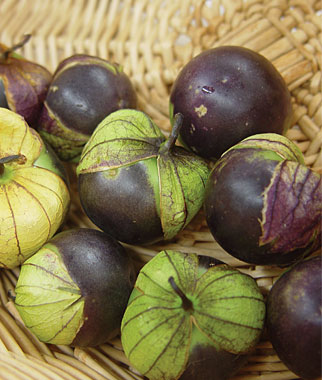 purple tomatillo