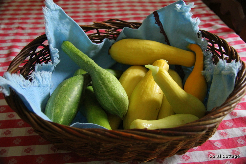 Squash and cukes