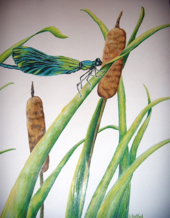 Note card by beach combers cove