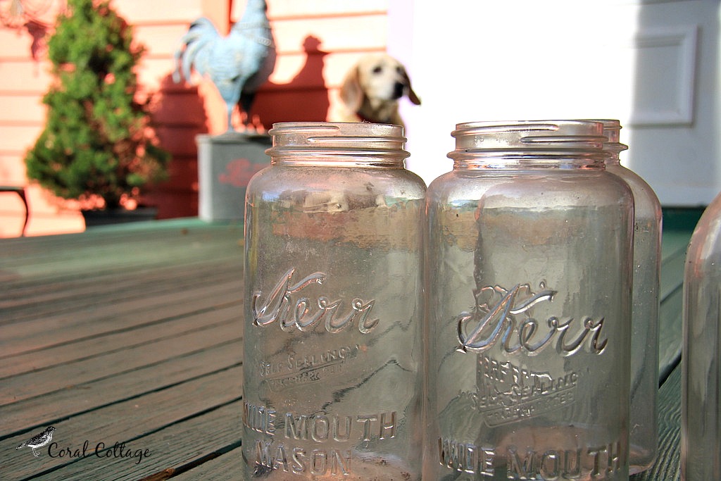 canning jars 2