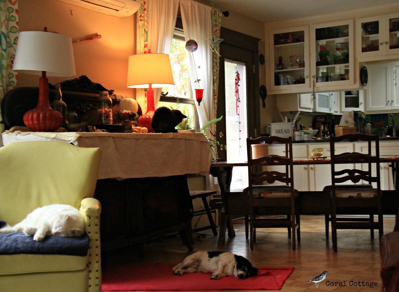 rainy day in the house