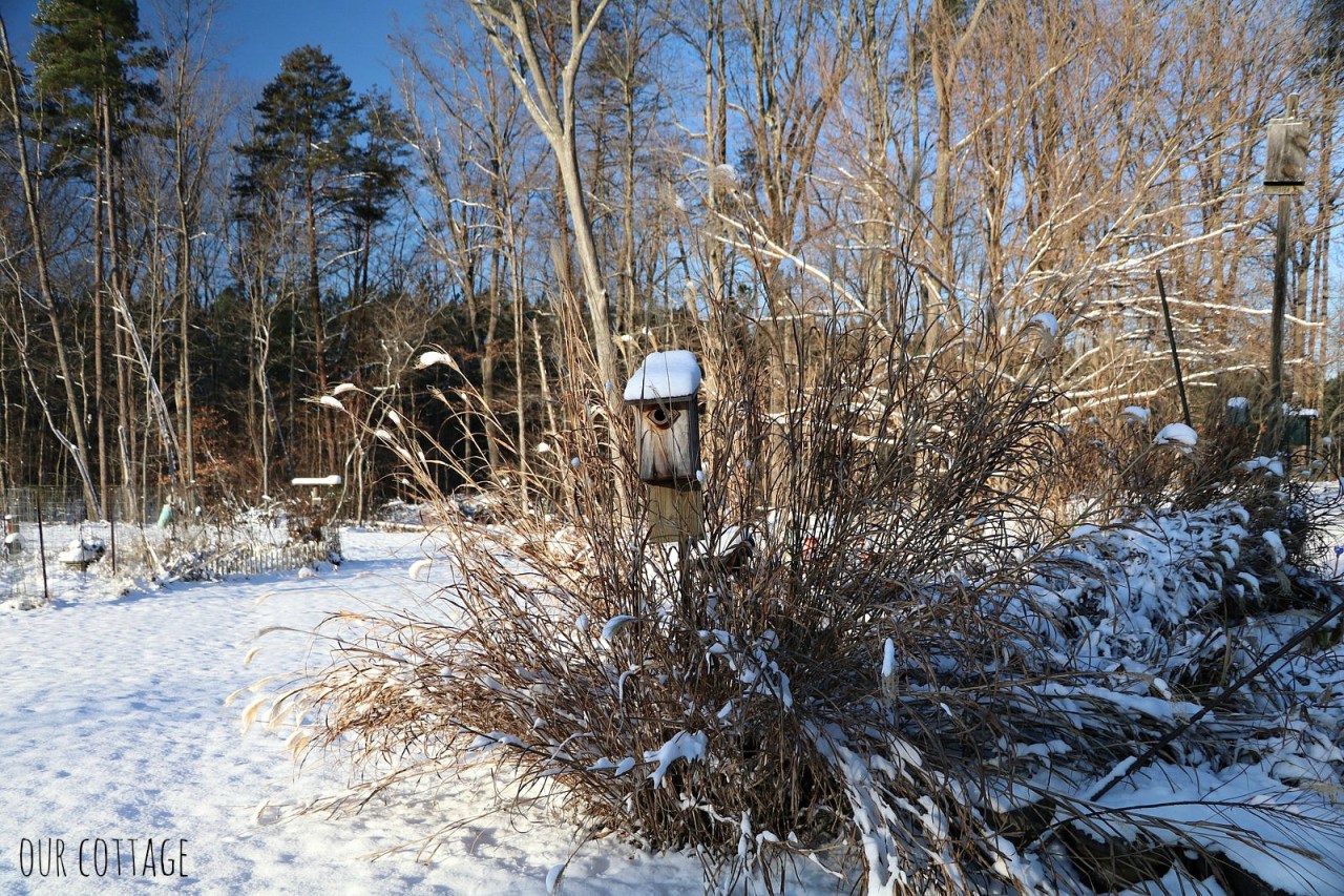 bird-house