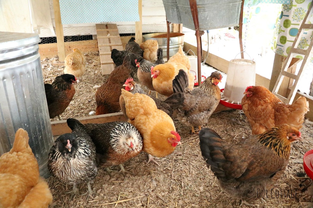 girly-girls-snow-day-3