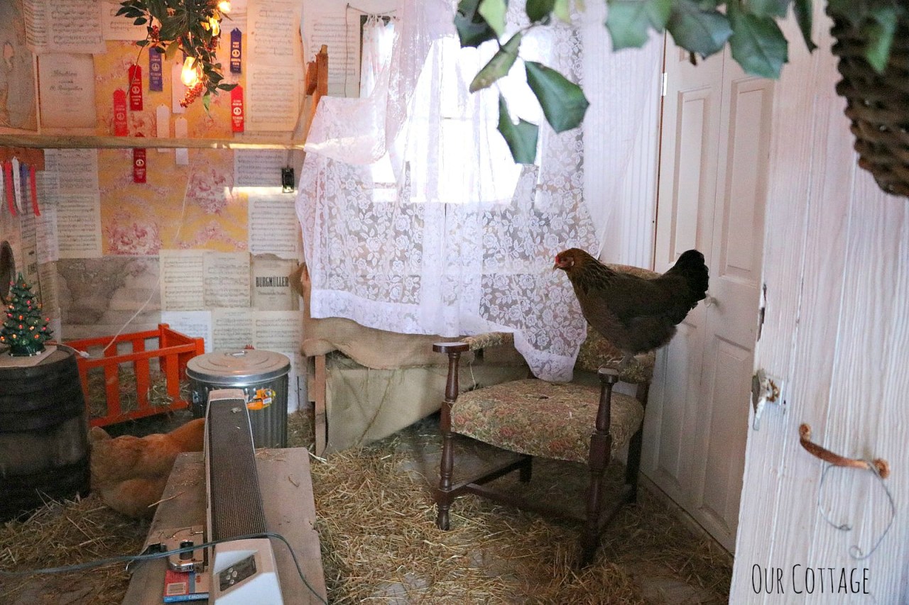 in-the-hen-house