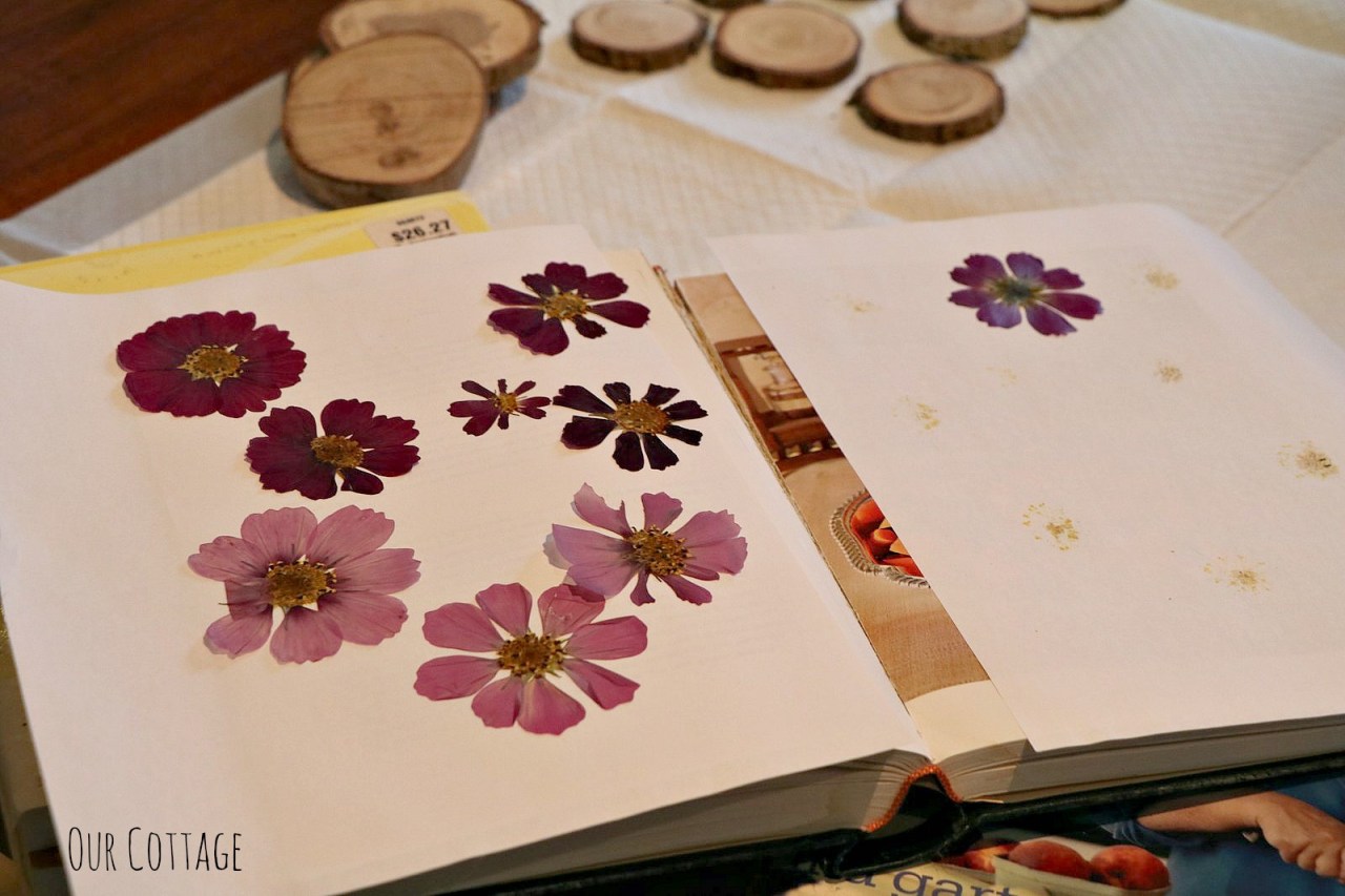 pressed-flowers-1