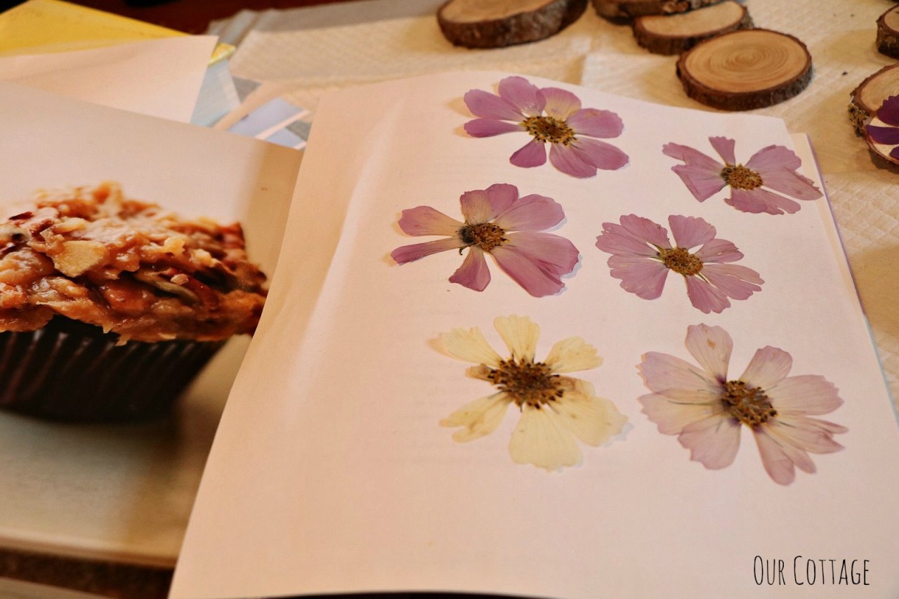 pressed-flowers-3