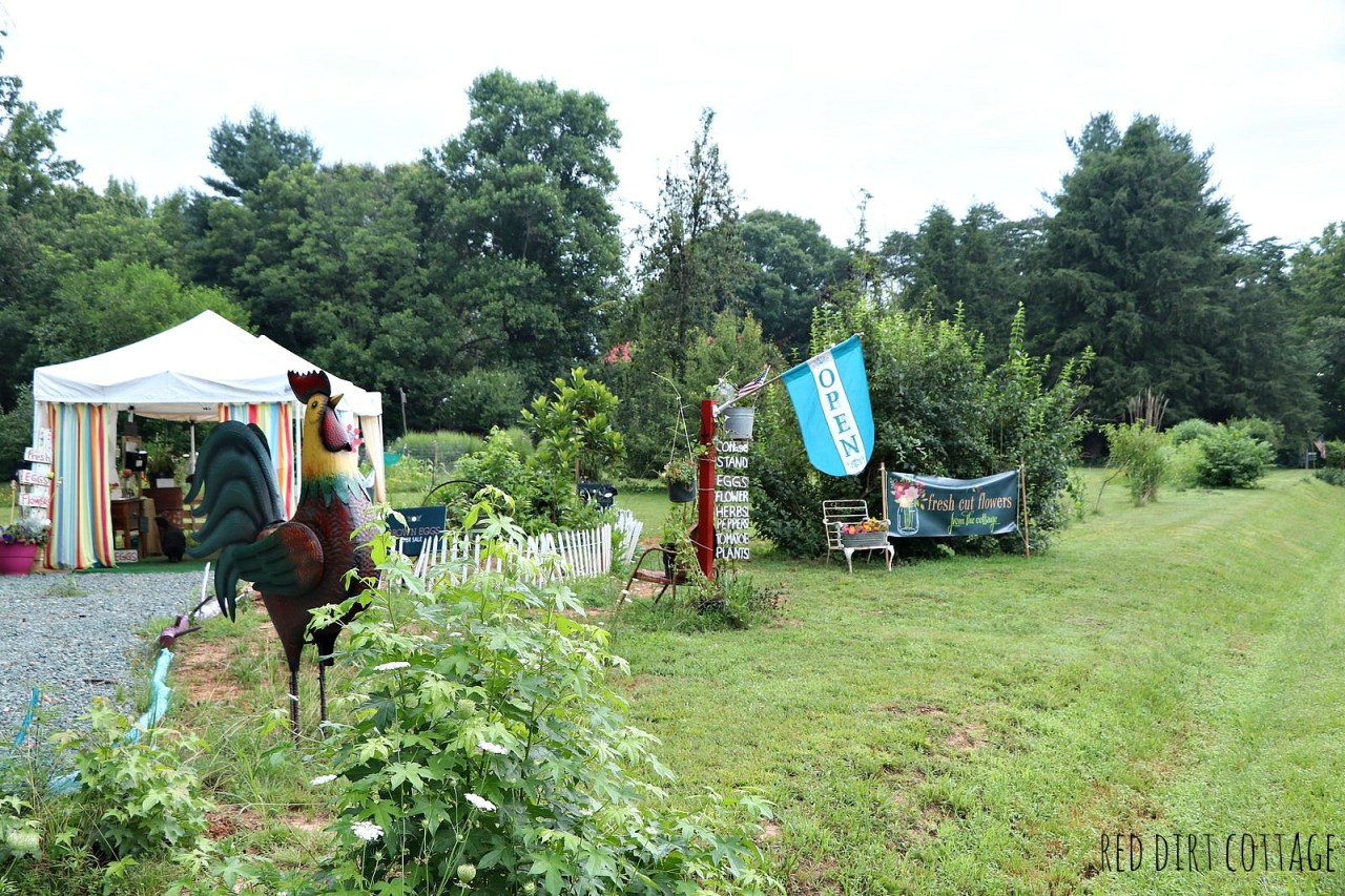 farm-stand