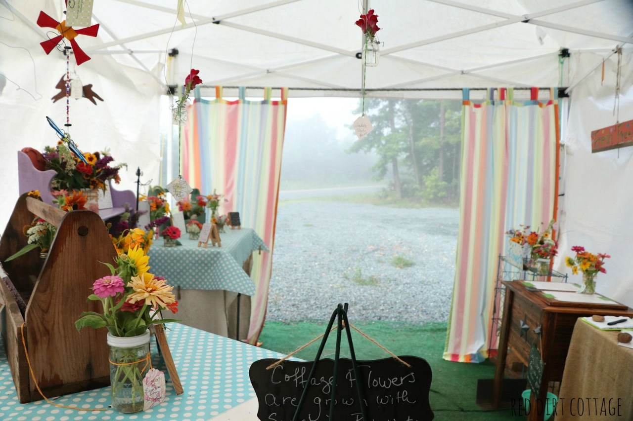 foggy-at-the-stand-2