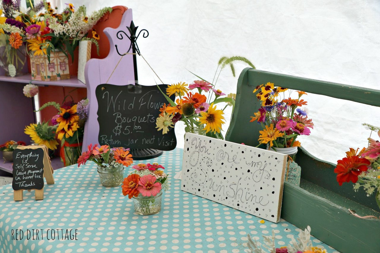 you-are-my-sunshine-2